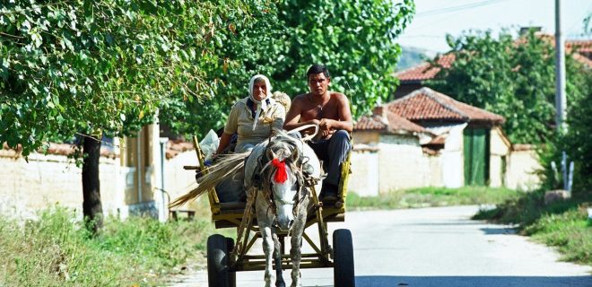 slika novice