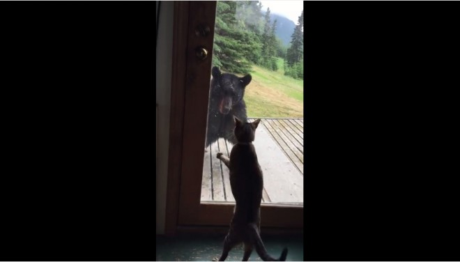 Screenshot%3A+YouTube