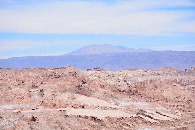 Pu%C5%A1%C4%8Dava+Atacama+%28foto%3AProfimedia%29