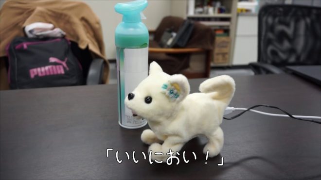 Ku%C5%BEa+zazna%2C+ali+vonj+stopal+presega+meje+sprejemljivega