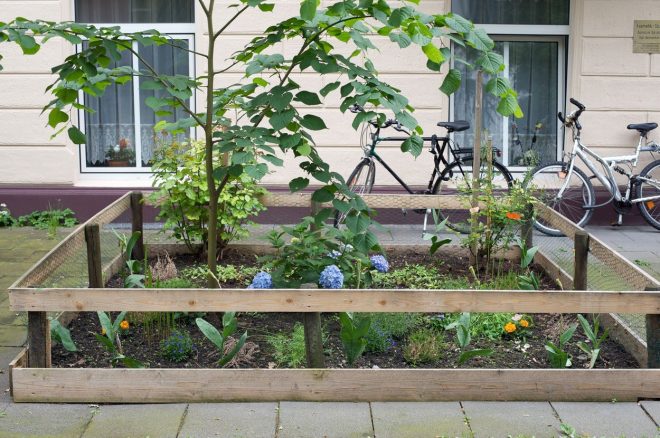 Urbani+vrti%C4%8Dek+v++K%C3%B6lnu+%28foto%3AProfimedia%29