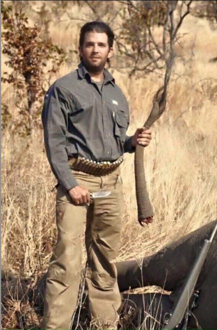 O%C4%8Di+mu+je+omogo%C4%8Dil%2C+da+dele+uplenjenega+slona+obdr%C5%BEi+kot+trofejo+%28foto%3AProfimedia%29