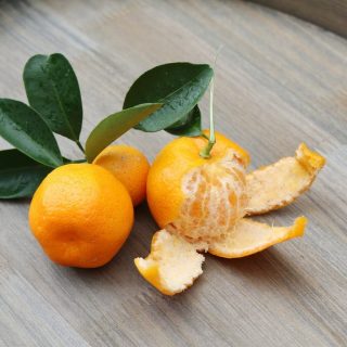 razlika med mandarino in klementino