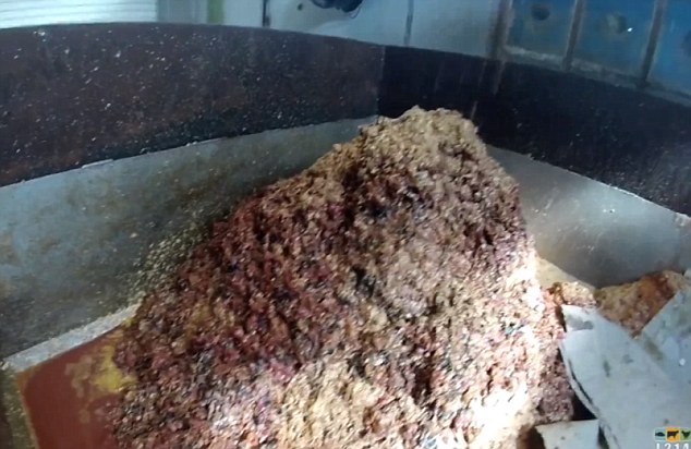 Mo%C5%A1ke+pi%C5%A1%C4%8Dan%C4%8Dke+zmeljejo%2C+ka%C5%A1o+pa+spremenijo+v+hrano+za+pre%C5%BEivele+pi%C5%A1%C4%8Dance