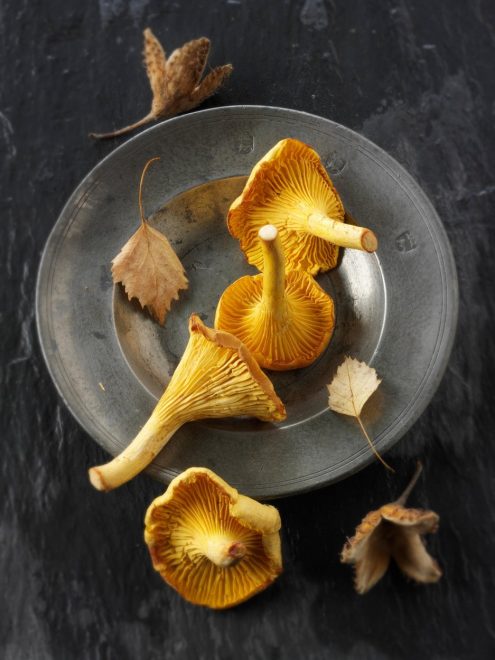 Lisi%C4%8Dke+%2F+Profimedia