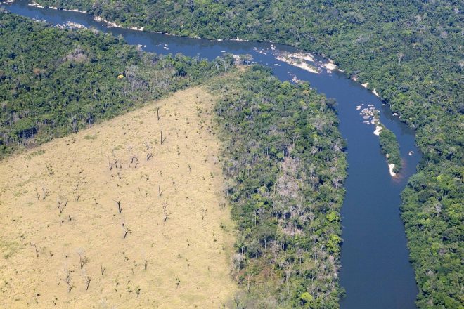 Bolsonaro+v+zakonih%2C+ki+omejujejo+posege+v+pragozd%2C+vidi+le+oviro+za+gospodarstvo+%28foto%3AProfimedia%29