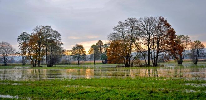 Ljubljansko+barje+%28foto%3AProfimedia%29