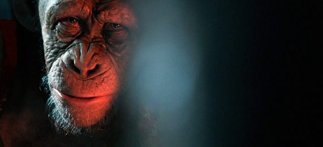 Prizor+iz+filma+Vojna+za+planet+opic+iz+leta+2017+%28foto%3AProfimedia%29