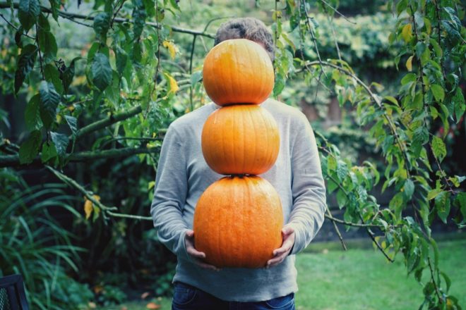 Za%C4%8Denja+se+sezona+bu%C4%8D.+Zakaj+jih+ne+bi+letos+ve%C4%8Dkrat+vklju%C4%8Dili+v+na%C5%A1+jedilnik%3F+%28foto%3AProfimedia%29