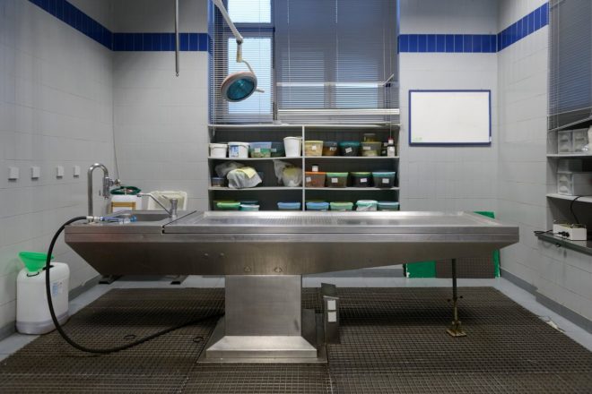 Delo+v+mrtva%C5%A1nici+naj+bi+izu%C4%8Dilo+moldavske+voznike%2C+ki+za+volan+sedejo+vinjeni+%28foto%3AProfimedia%29