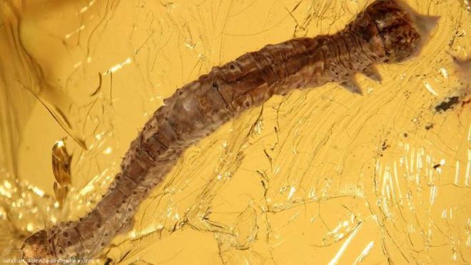 foto%3A++Fischer%2C+Michalski+%26+Hausmann%2C+2019