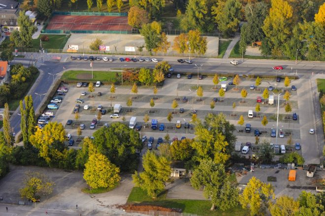 Senca+dreves+prepre%C4%8Duje+pregrevanje+asfaltnih+povr%C5%A1in+%28foto%3AProfimedia%29