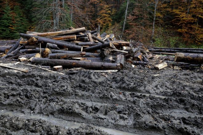 Image%3A+567923414%2C+License%3A+Royalty-free%2C+Restrictions%3A+%2C+Model+Release%3A+no