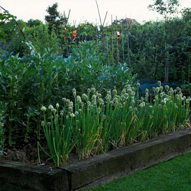 %C4%8Ce+imate+te%C5%BEave+z+odcednostjo+prsti%2C+grede+nekoliko+dvignite