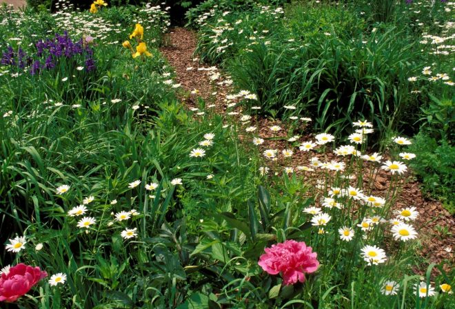 %C4%8Ce+vrtnarite+na+te%C5%BEkih+tleh%2C+je+%C5%A1e+posebej+pomembno%2C+da+ne+stopate+nanje%2C+sploh+po+de%C5%BEju