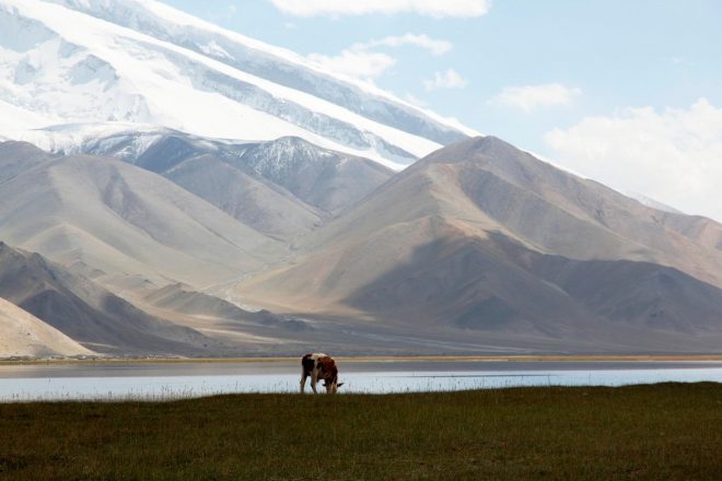 Ena+od+gora+v+provinci+Xinjiang+%2F+Profimedia