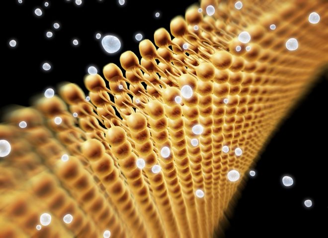 Celi%C4%8Dna+membrana+%2F+Profimedia