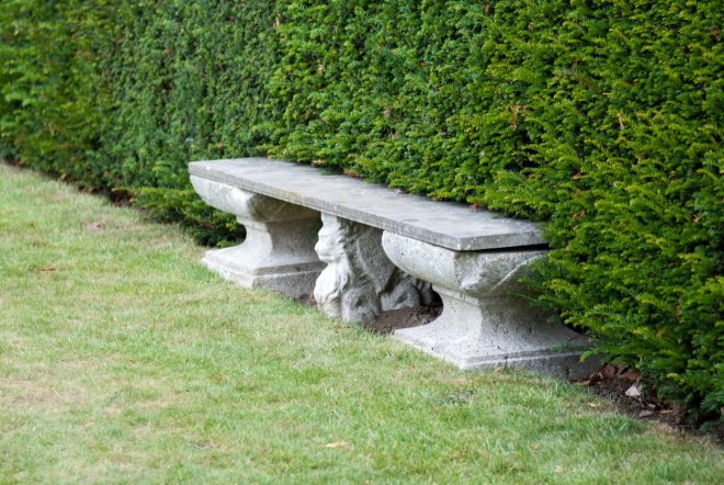 Tisa+se+enako+dobro+po%C4%8Duti+v+urejenih+gosposkih+vrtovih%2C+kot+na+kme%C4%8Dkem+vrtu+%2F+Profimedia