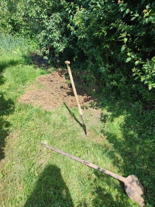 Najstnik+je+opazil+skopan+grob+%2F+foto%3A+Dru%C5%A1tvo+za+pomo%C4%8D+%C5%BEivalim+Srce+za+%C5%A1apice