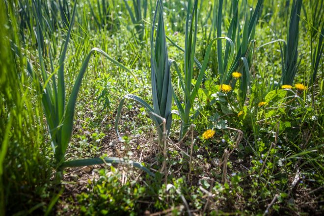 Na%C5%A1e+babice+bi+se+zgra%C5%BEale%2C+a+s+to+gredo+ni+prav+ni%C4%8D+narobe+%2F+Profimedia