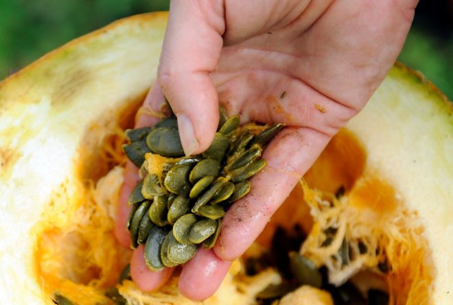 Skrajni+%C4%8Das+je%2C+da+bu%C4%8Dno+olje+zase+odkrijejo+tudi+prebivalci+Zahodne+Slovenije%21+%2F+Profimedia