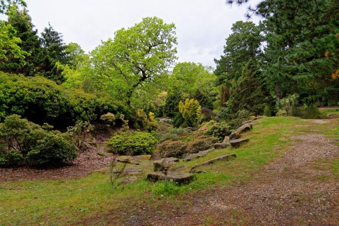 Sonaravna+zasnova+vrta+bo+privabila+tudi+%C5%A1tevilne+zanimive+%C5%BEu%C5%BEelke