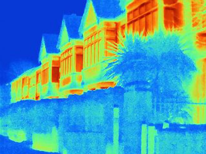 Drevesa+so+v+mestih+nepogre%C5%A1ljiva%2C+saj+prispevajo+k+hlajenju+%2F+Profimedia