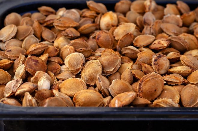 Semen+marelic%2C+breskev%2C+nektarin+in+sliv+ne+me%C4%8Dimo+v+smeti+%2F+Profimedia